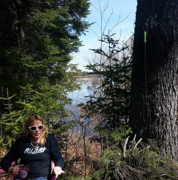 Meet your Posher, Phyllis - Picture 1 of 1